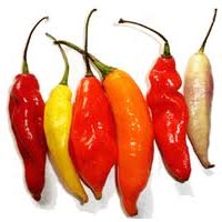 Chiles