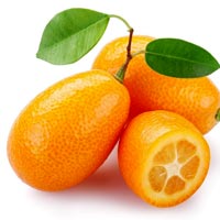 Kumquat