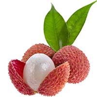 Litchi