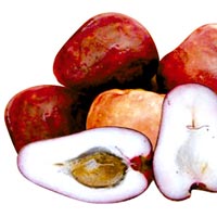 Pomarrosa